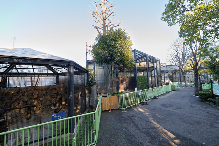 江戸川区自然動物園