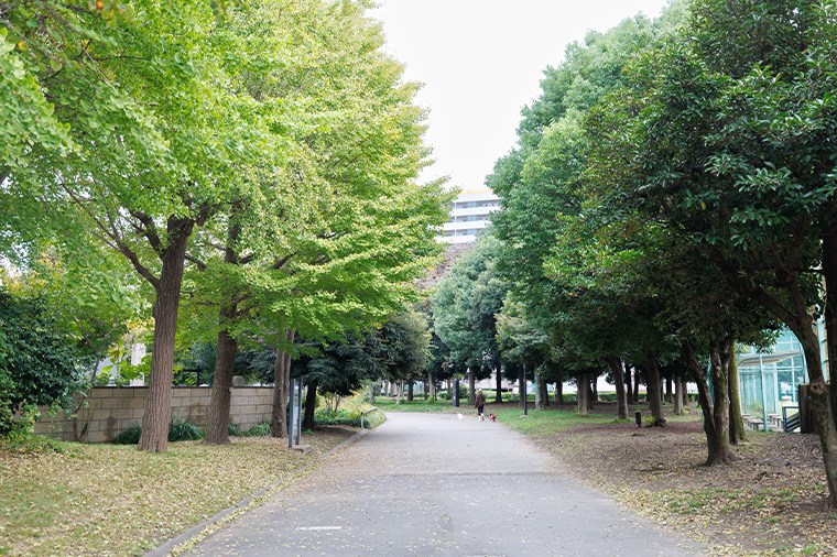 東白髭公園