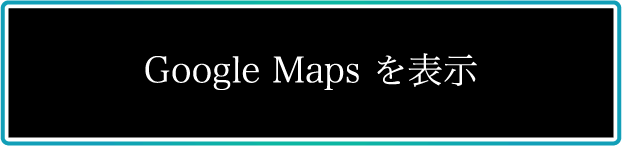 Google Maps を表示