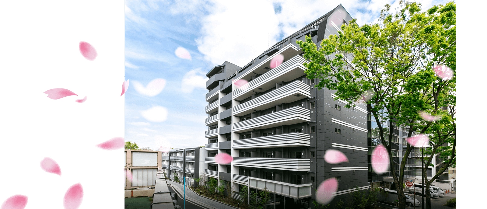 コンフォリア桜上水