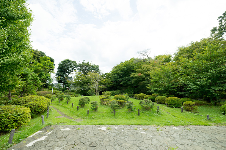 文京区立関口台公園
