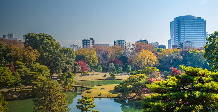 周辺環境・アクセス