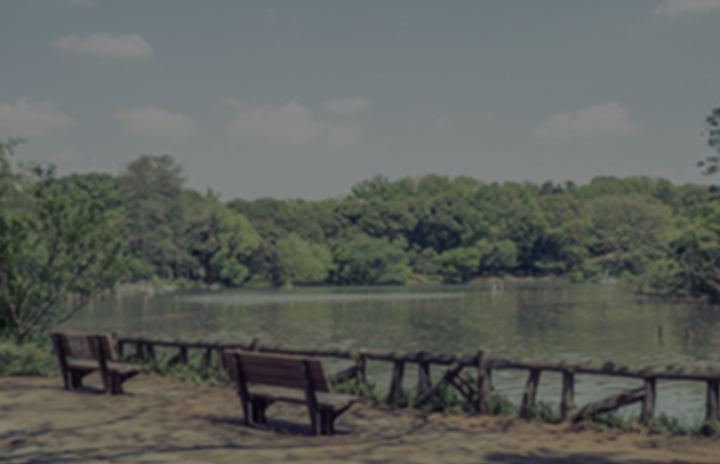 周辺環境・アクセス