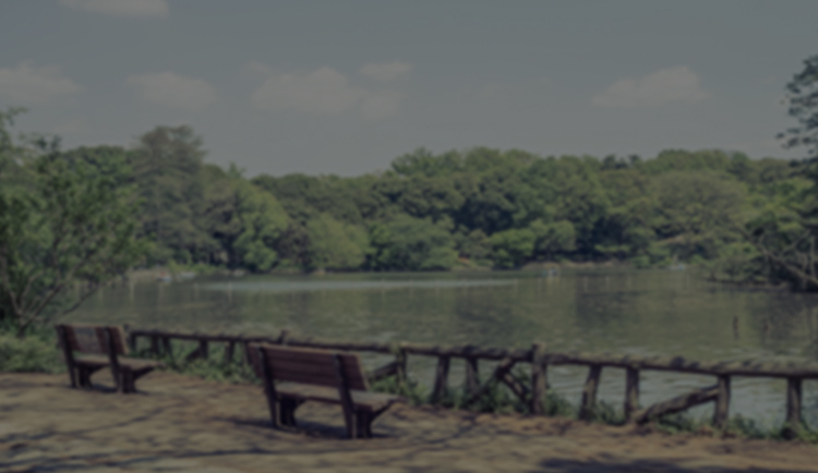 周辺環境・アクセス