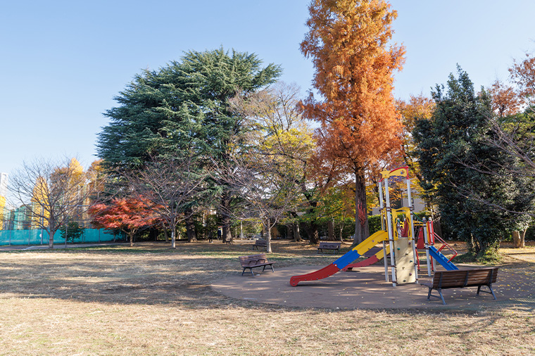 中野区立南台いちょう公園